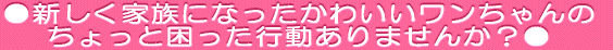 VƑɂȂ킢 ƍs܂񂩁H